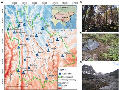 Decomposing niche components reveals simultaneous effects of opposite deterministic processes structuring alpine small mammal assembly